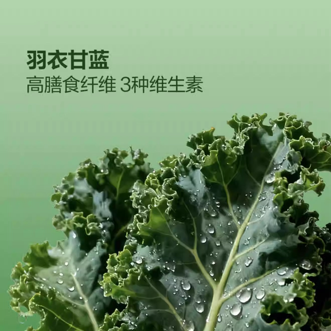 轻元素 羽衣甘蓝粉|单包3.5g