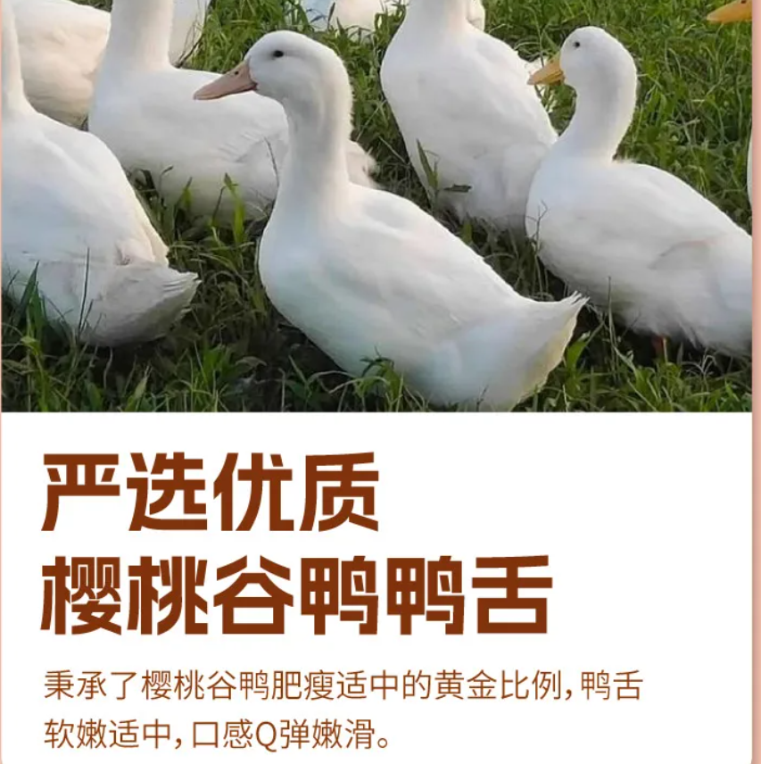 藤桥牌 | 大卫的鸭舌（酱香味）| 单包(2根)约15g